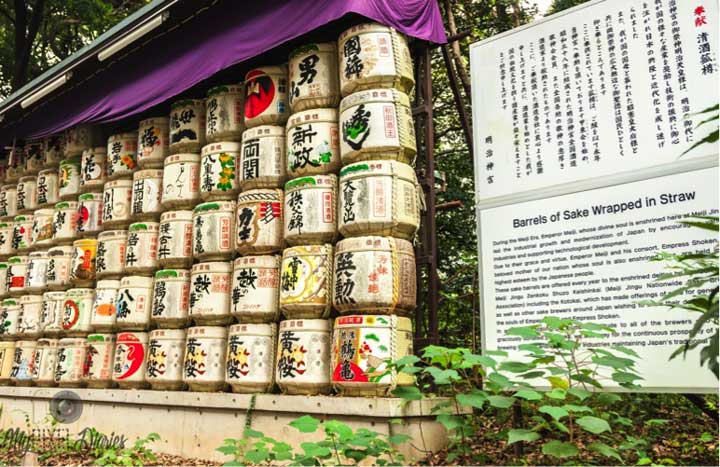 shrine sake barrels