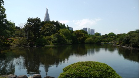 shinjuku gyoen park 