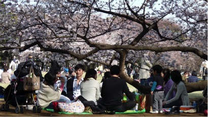 shinjuku gyoen park