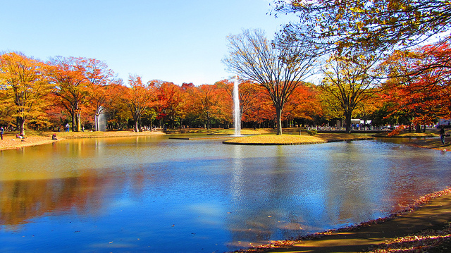 yoyogi park