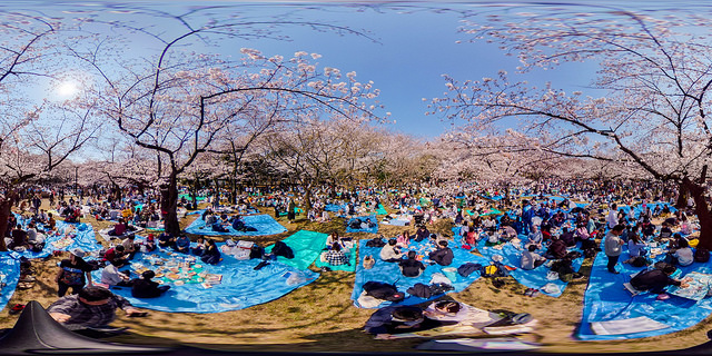 yoyogi park